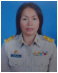 ไม่พบรูป